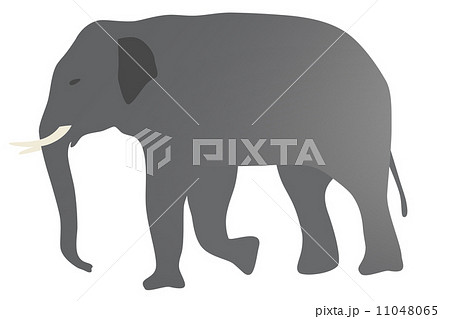 象のイラスト 左向きのイラスト素材