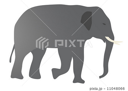 象のイラスト 右向きのイラスト素材