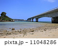 沖縄 11048286