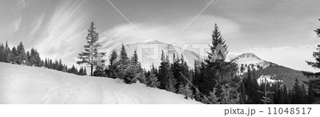 Mountain panorama 11048517