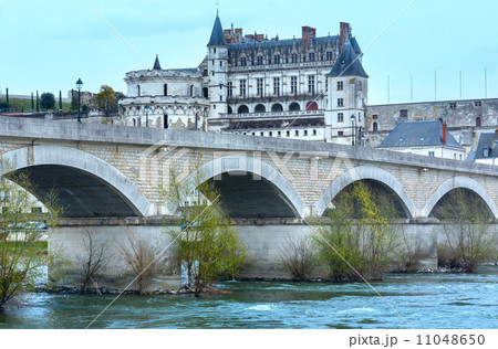 Amboise Castle spring view (France) 11048650