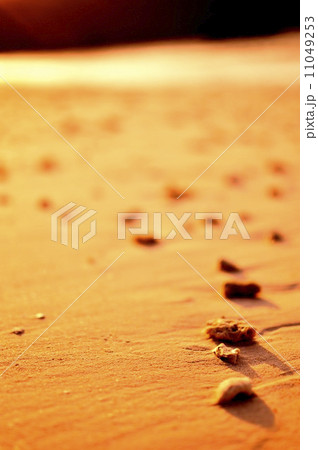 夕暮れ時の浜辺 11049253