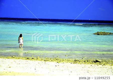 夏の盛り 11049255