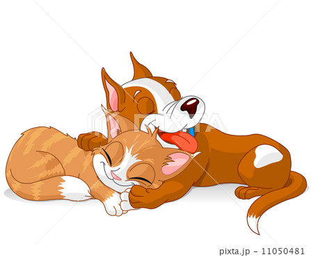 Dog and cat 11050481