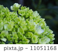 これから・・ 11051168