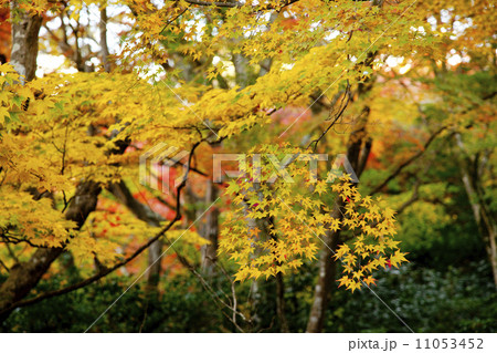 詩仙堂06 11053452