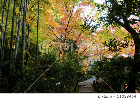 圓光寺05 11053454