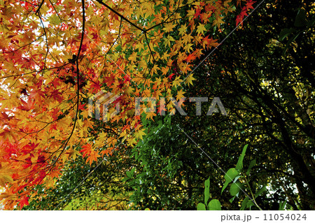 詩仙堂05 11054024