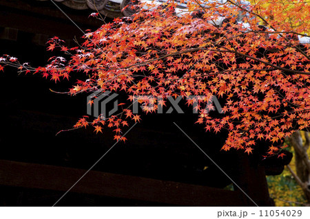 圓光寺04 11054029