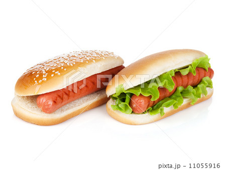 Two hot dogs with various ingredients 11055916