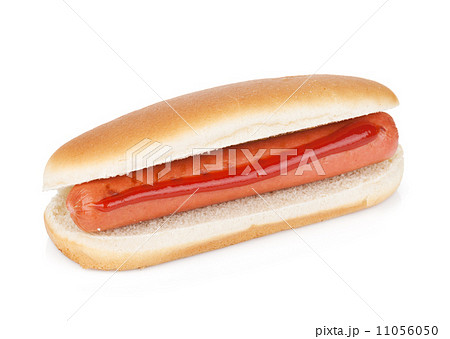 Hot dog with ketchup Hot dog with ketchup 11056050
