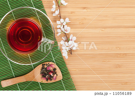 Japanese green tea and sakura branch 11056189