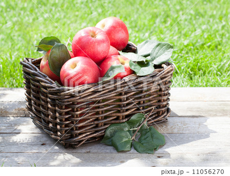 Fresh ripe red apples 11056270
