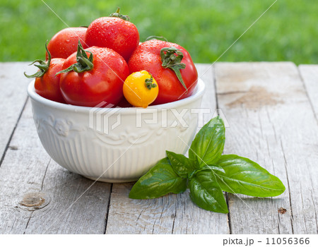 Fresh ripe colorful tomatoes in bowl Fresh ripe colorful tomatoes in bowl 11056366