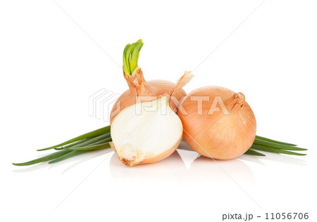 Fresh ripe onion 11056706