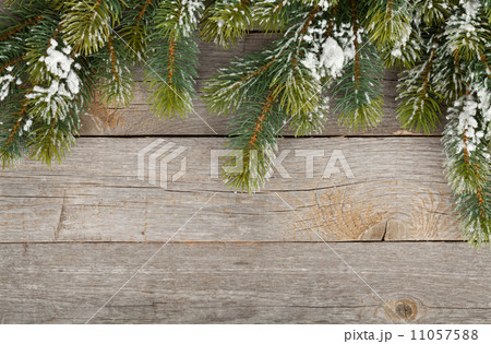 Christmas fir tree on wooden board background Christmas fir tree on wooden board background 11057588