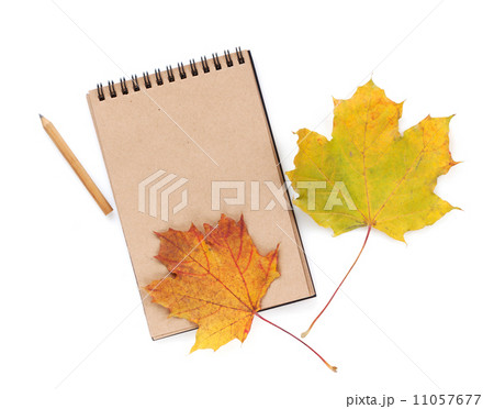 Brown paper notepad 11057677