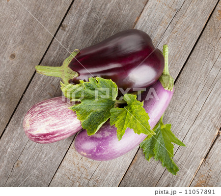 Fresh ripe eggplants Fresh ripe eggplants 11057891