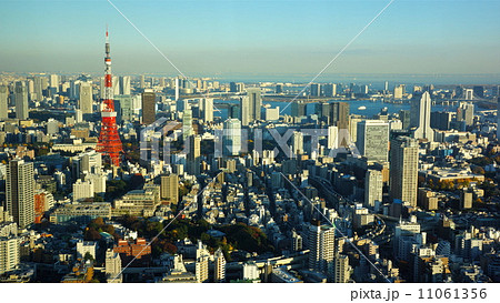 六本木ヒルズから見た東京タワー 11061356