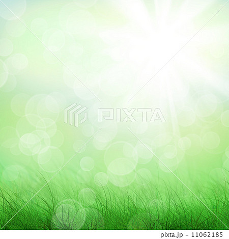 Blue sky and green field 11062185