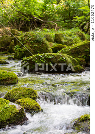 元滝 元滝 11062479