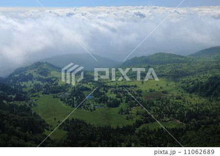 渋峠より望む芳ヶ平 11062689