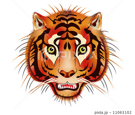 tiger head tiger head 11063102