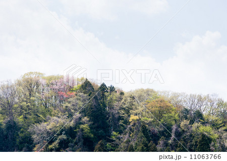 春の山並み 11063766