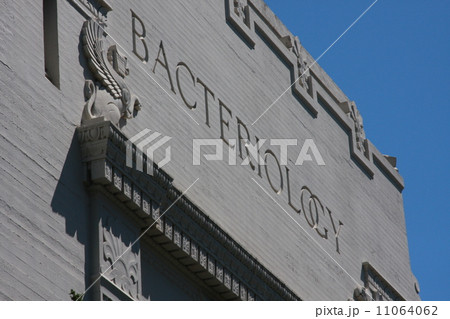 微生物学の建物 11064062