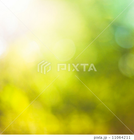 Nature bokeh 11064211