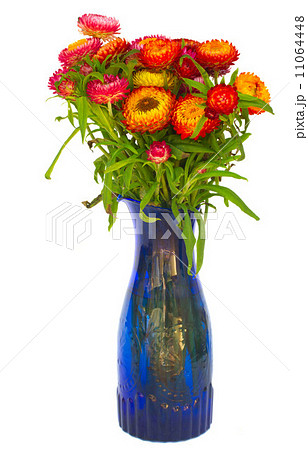 Bouquet of Everlasting flowers 11064448