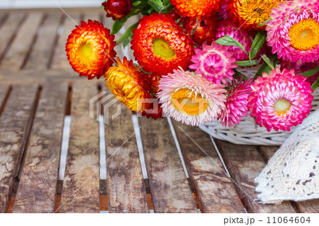 Bouquet of Everlasting flowers on table Bouquet of Everlasting flowers on table 11064604