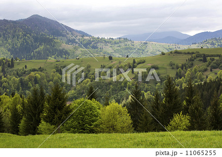 Summer mountain landscape in the Alps sky 11065255