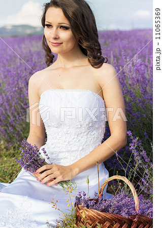 Beautiful bride posing at field of lavender 11065369