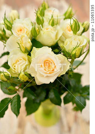 （※花片にレタッチ痕が残ります）バラのフラワーアレンジメント。 11065395