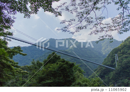 綾照葉大吊橋（あやてるはおおつりばし） 11065902