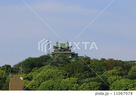 小牧城（小牧市歴史館） 11067078