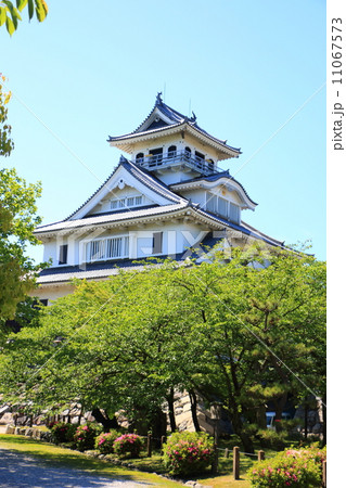 長浜城歴史博物館・南西側 11067573
