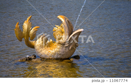 Dolphin fontain in Peterhof, St.Petersburg, Russia 11067774