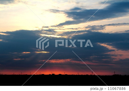 夕日 11067886