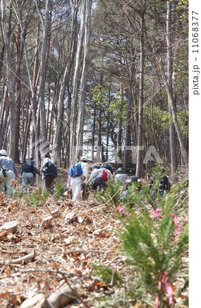 植樹祭 植樹祭 11068377