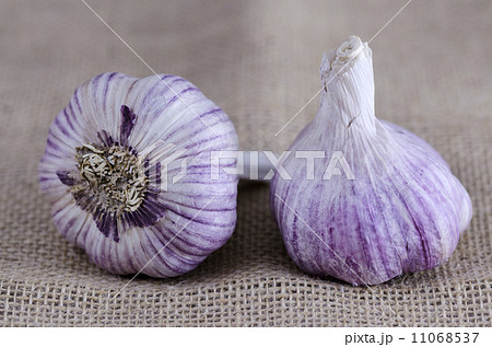Fresh garlic Fresh garlic 11068537