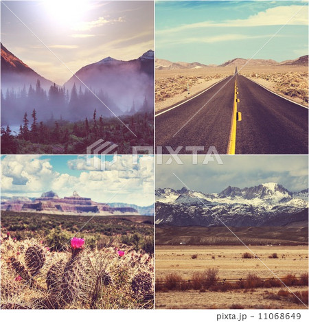 American collage 11068649