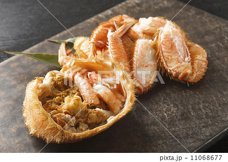 毛蟹 毛蟹 11068677