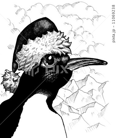 Mr. Penguin 11069238