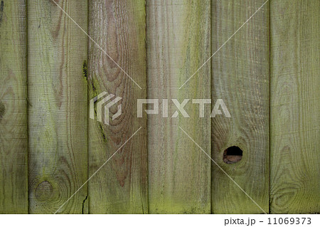 Mossy wooden fence Mossy wooden fence 11069373