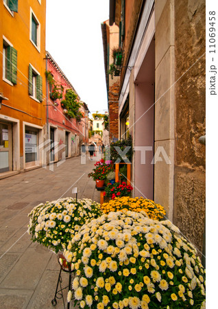 Venice Italy unusual scenic view 11069458