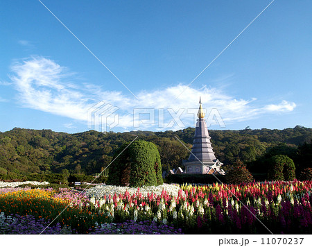 Doi Inthanon, Chiang Mai , Thailand 11070237