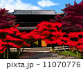 紅葉(寺) 紅葉(寺) 11070776
