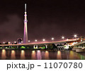 スカイツリー(夜景) スカイツリー(夜景) 11070780